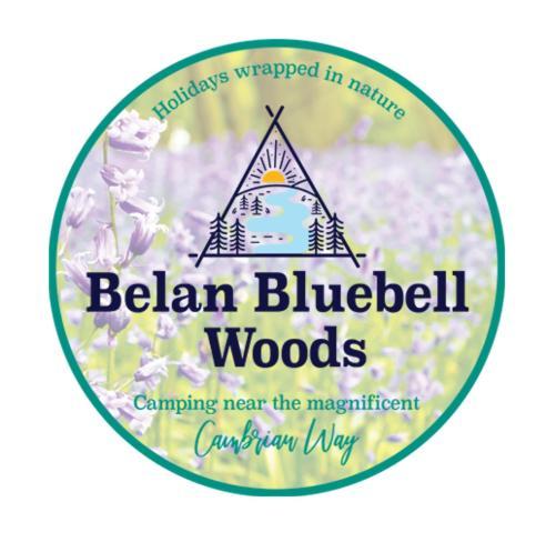 Belan Bluebell Woods Shepherds Hut Llanidloes Extérieur photo